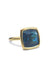 A & Furst Gaia 18KYG Large Cushion Cut London Blue Topaz Ring | OsterJewelers.com