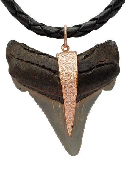Sterling Silver Fossil Shark Tooth Pendant | Charles Albert Jewelry -  Charles Albert Inc