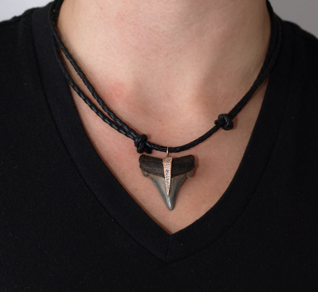 Shark Tooth Necklace with Sapphire Crystals — Ocean Jewelry